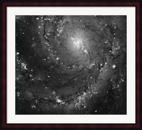 Framed Hubble Space Telescope Imaging of Hot Gas and Star Birth in M101 Print