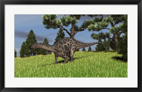 Framed Dicraeosaurus Walking in a Field Print