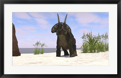 Framed Triceratops on a Beach Print