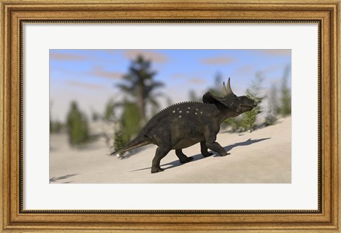 Framed Triceratops Dinosaur 8 Print