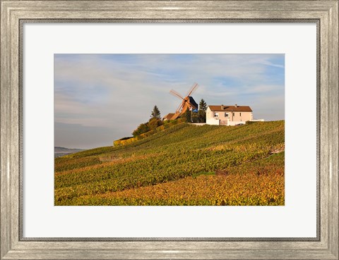 Framed Windmill and Vineyards Print