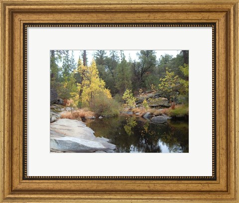 Framed Lake In The Forest Print