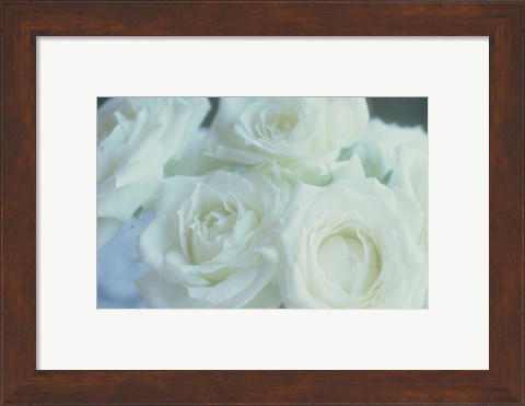 Framed Flowers Roses Print