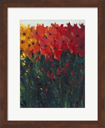 Framed Color Spectrum Flowers I Print