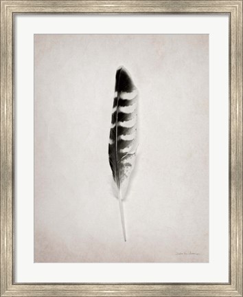 Framed Feather IV BW Print