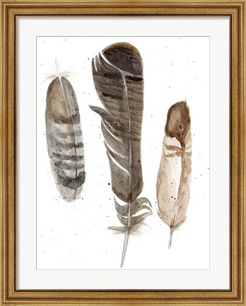 Framed Earthtone Feathers I Print