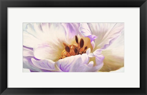 Framed Tulipe Print