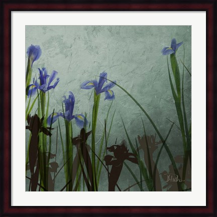 Framed Blue Irises II Print