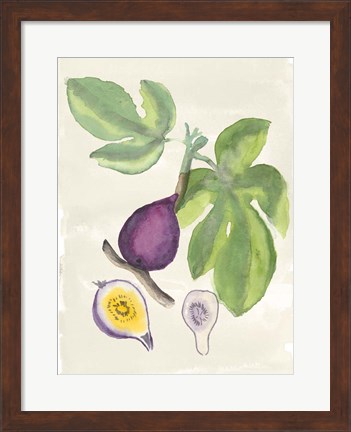 Framed Watercolor Fruit I Print
