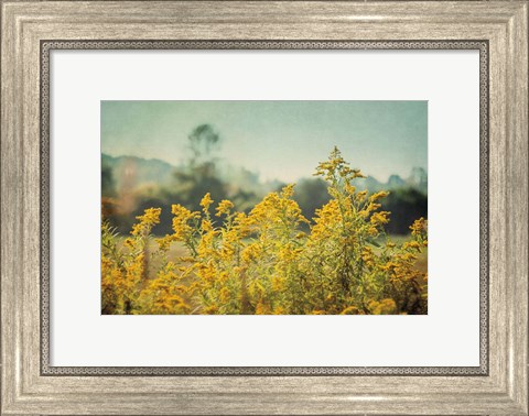 Framed Blissful Country IV Print