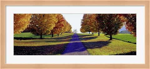 Framed Autumn Road, Storm King Mountain, New York Print