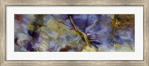 Framed Purple Jasper Print