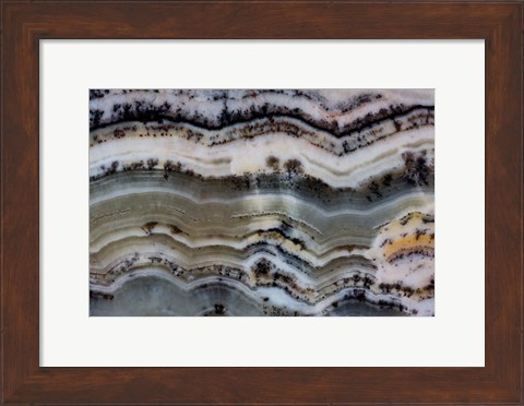Framed Silver Lace Onyx 2 Print
