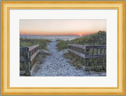 Framed Evening Walk Print