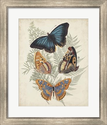 Framed Butterflies &amp; Ferns V Print