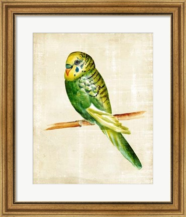 Framed Fanciful Birds III Print