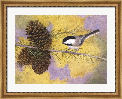 Framed Chickadee in the Pines II Print