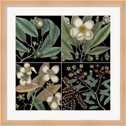 Framed Graphic Botanical Grid V Print