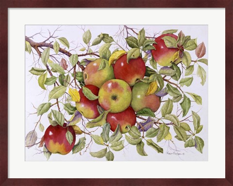 Framed Apples Print