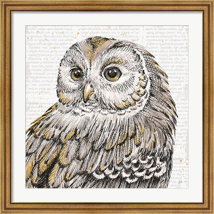 Framed Beautiful Owls I Print