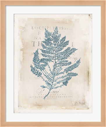 Framed Sea Garden III Print