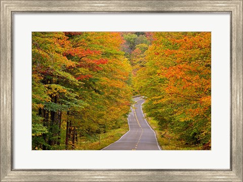 Framed White Mountain National Forest, New Hampshire Print