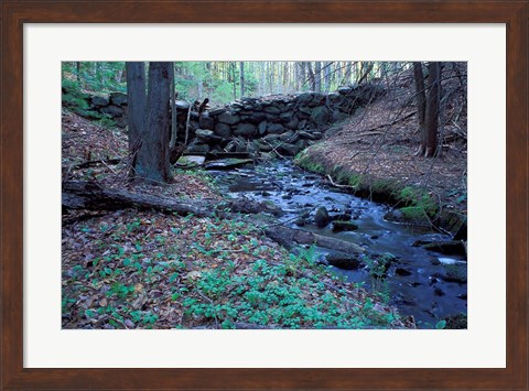 Framed Banks of Lamprey River, National Wild and Scenic River, New Hampshire Print