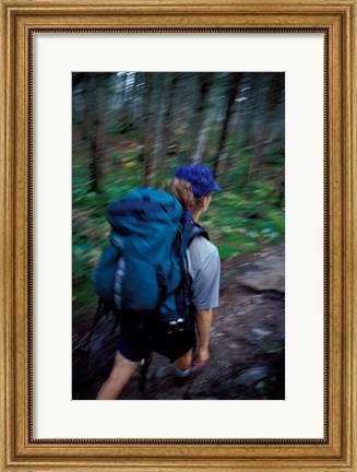 Framed Backpacking on Franconia Ridge Trail, Boreal Forest, New Hampshire Print