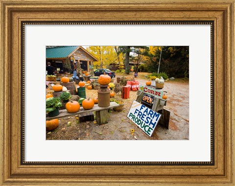 Framed Farm stand, Holderness, New Hampshire Print
