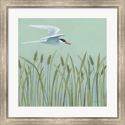 Framed Free as a Bird I Print