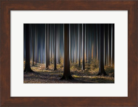 Framed Mystic Wood Print