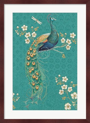Framed Ornate Peacock IXD Print