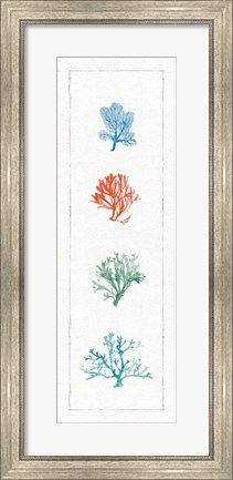 Framed Water Coral VII Print