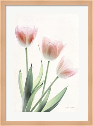 Framed Light and Bright Floral II Print