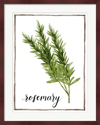 Framed Watercolor Herbs V Print