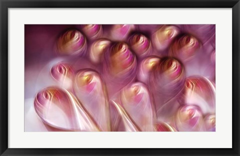 Framed Rosebuds Print