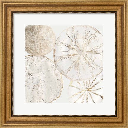Framed Sea Patterns II Print