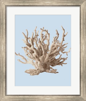 Framed Coral II Print