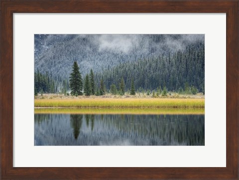 Framed Waterfowl Lake II Print
