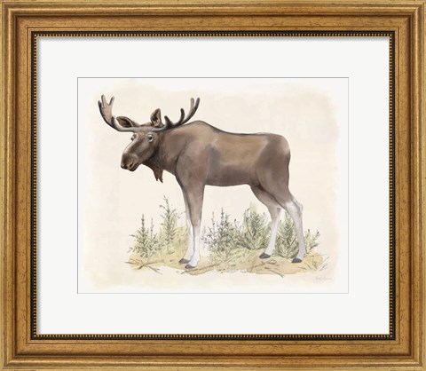 Framed Wilderness Collection Moose Print