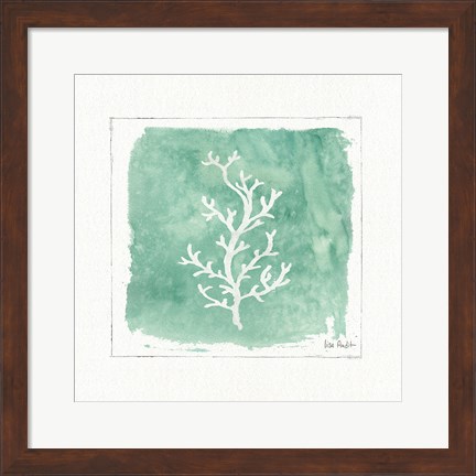 Framed Water Coral IV Print