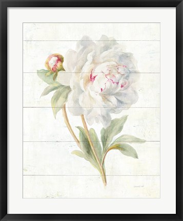 Framed June Blooms II Print