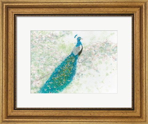 Framed Spring Peacock I Print