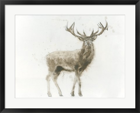 Framed Stag Print