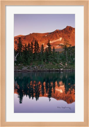 Framed Mount Jefferson Panel I Print
