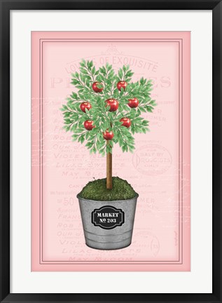 Framed Apple Topiary - Pink Print