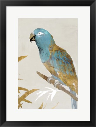 Framed Blue Parrot II Print