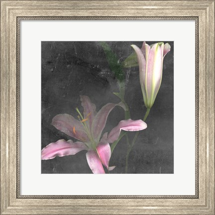 Framed Fleur de Lys II Print