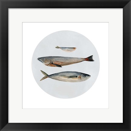 Framed Three Fish II Print