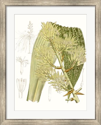 Framed Palm Melange VI Print